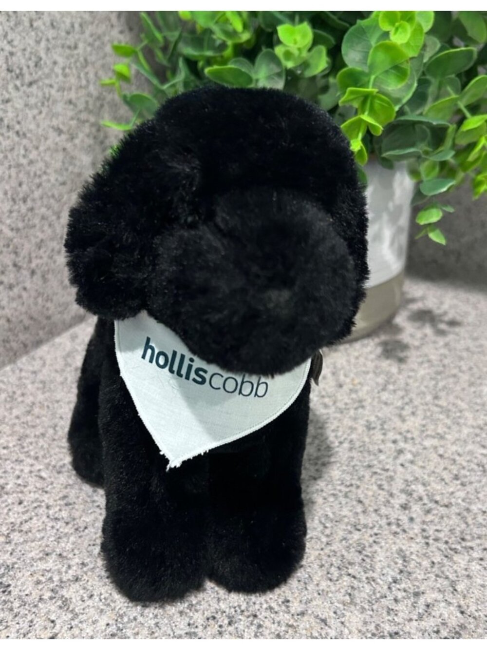Douglas Black Lab Plush Dog Hollis Cobb Bandana Soft Stuffed Animal